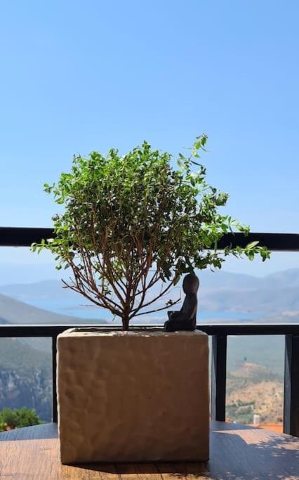 Apartament 'Ηδιστον,Delphi Zewnętrze zdjęcie
